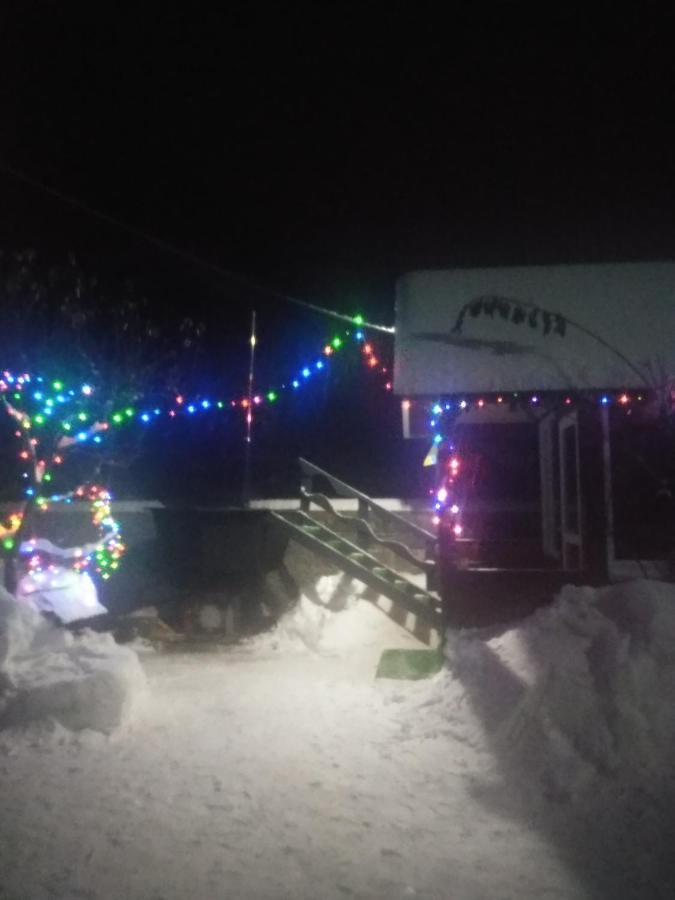 Ferienwohnung Карпатські Ночі Чан На Території Jaremtsche Exterior foto