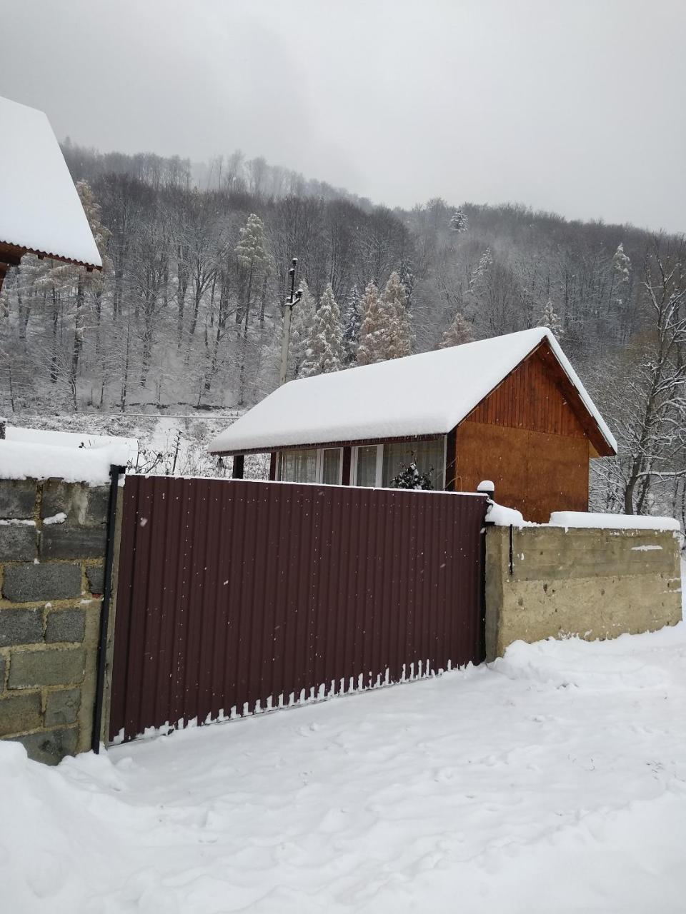 Ferienwohnung Карпатські Ночі Чан На Території Jaremtsche Exterior foto